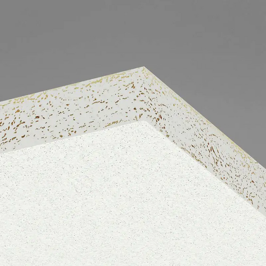 Ecophon - Ecophon Hygiene Performance™ A Acoustic Ceiling Tile - 1200 x 600 x 20mm  (Pack of 14) - Muffle Acoustics Limited